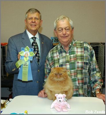 Catsafrats Lucky  Star